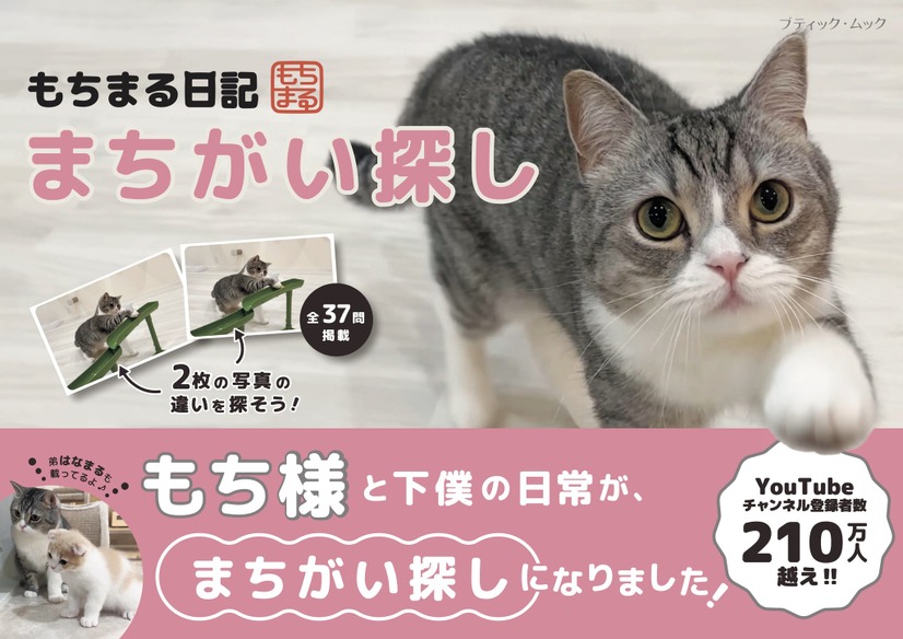『もちまる日記まちがい探し』