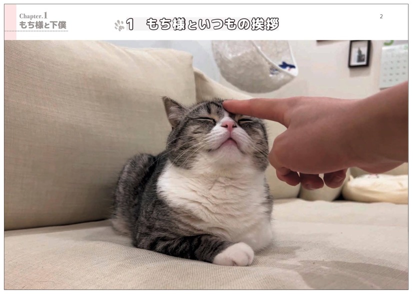 『もちまる日記まちがい探し』