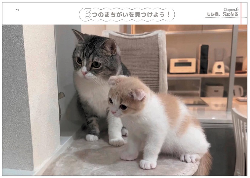 『もちまる日記まちがい探し』