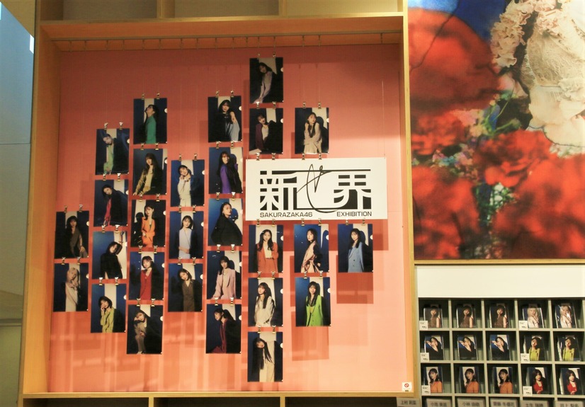 櫻坂46展「新せ界」内覧会【撮影：小宮山あきの】
