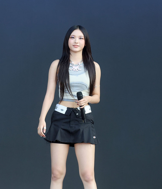 ヘリン(Photo by Gary Miller/FilmMagic)