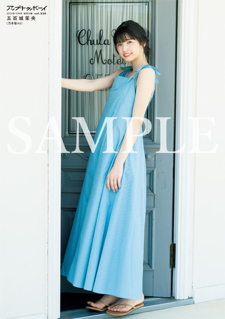 『アップトゥボーイ Vol.330』