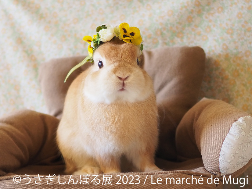 「うさぎしんぼる展 2023」展示作品