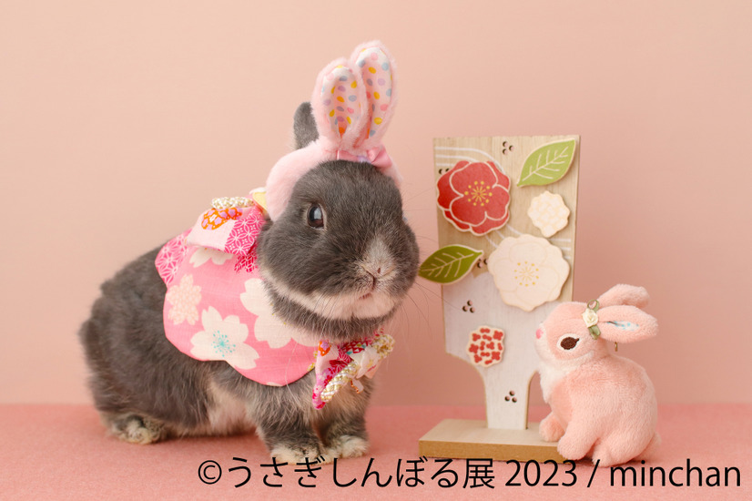 「うさぎしんぼる展 2023」展示作品
