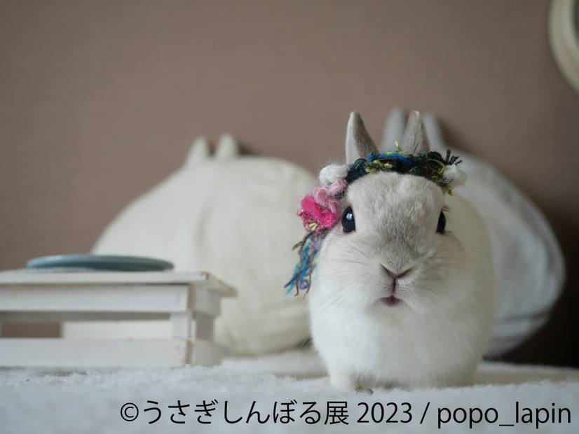 「うさぎしんぼる展 2023」展示作品