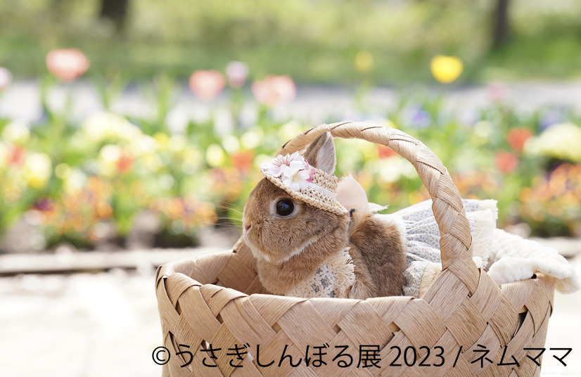 「うさぎしんぼる展 2023」展示作品