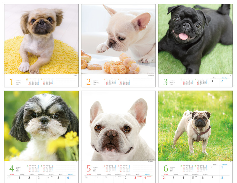 気まぐれ鼻ペチャ犬カレンダー