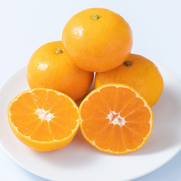 福岡県みやま市「＜岩田屋本店・南国フルーツ＞福岡県みやま市産山川みかん3kg」（12,000円）