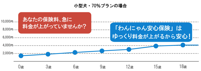 Amazon、ペット保険「わんにゃん安心保険」発売