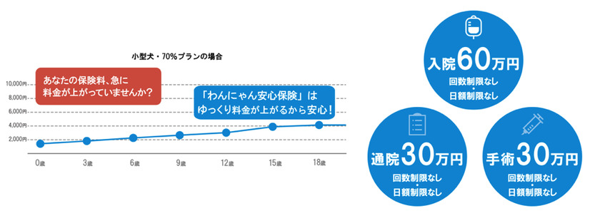 Amazon、ペット保険「わんにゃん安心保険」発売
