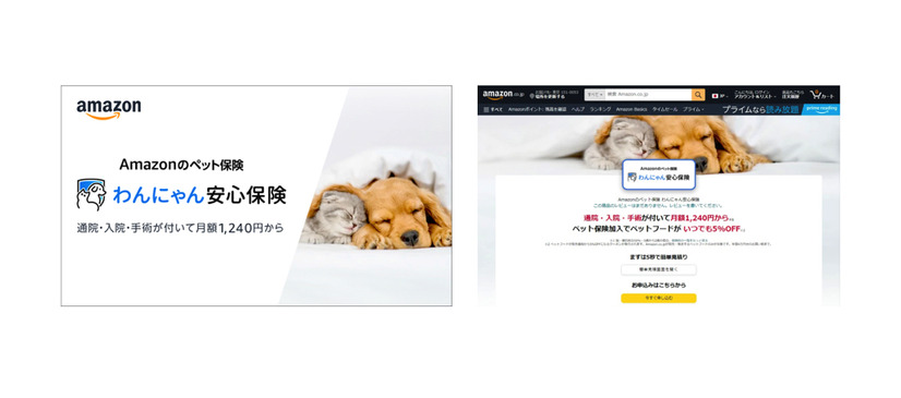 Amazon、ペット保険「わんにゃん安心保険」発売