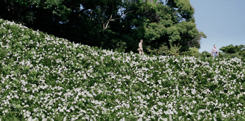 （C）2023「あの花が咲く丘で、君とまた出会えたら。」製作委員会　