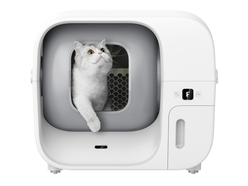 Furbulous Box