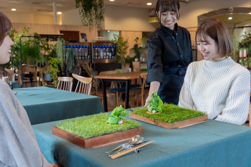 日本埼玉化計画コース
