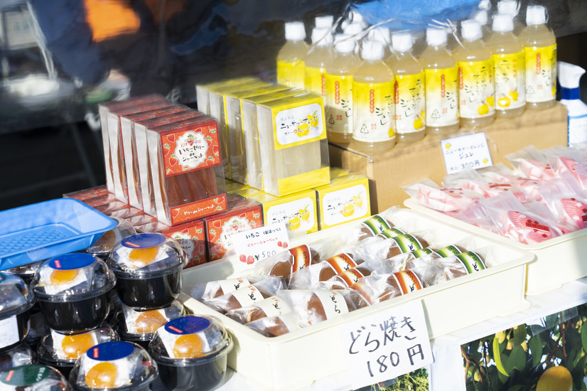 伊東温泉めちゃくちゃ市