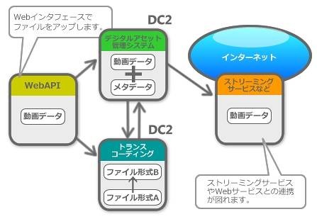 S.T.E.P DC2の概要