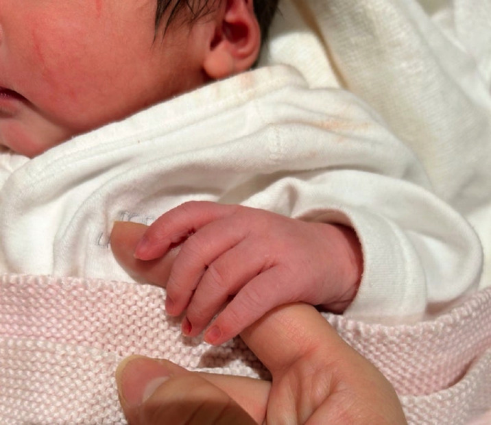 安めぐみ、第2子次女出産を報告「産まれたばかりの長女にそっくりです」
