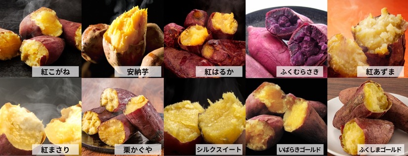 10種類のブランドさつまいも