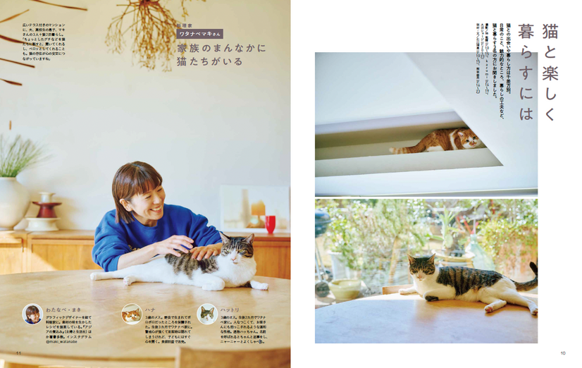 別冊天然生活 マンガ 天然ねこ生活VOL.２