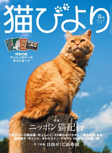 『猫びより』2024年春号