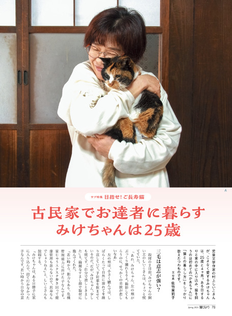 目指せ！ ご長寿猫