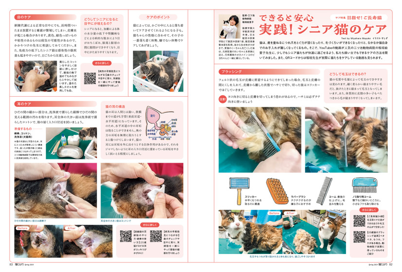 目指せ！ ご長寿猫