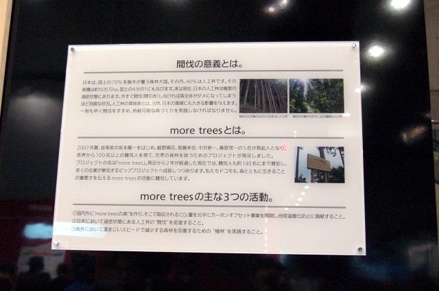 間伐の意義と、坂本龍一氏を中心にした団体「more trees」の説明