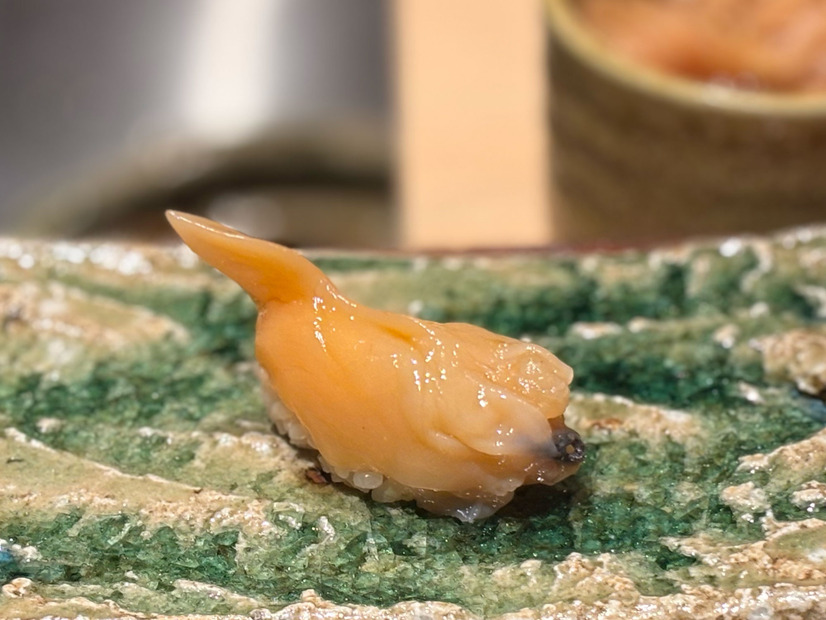 アオヤギ
