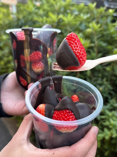 いちごチョコ