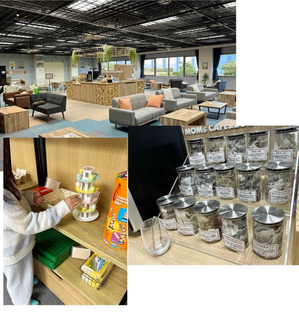 施設内の様子（写真は安めぐみの公式ブログより）