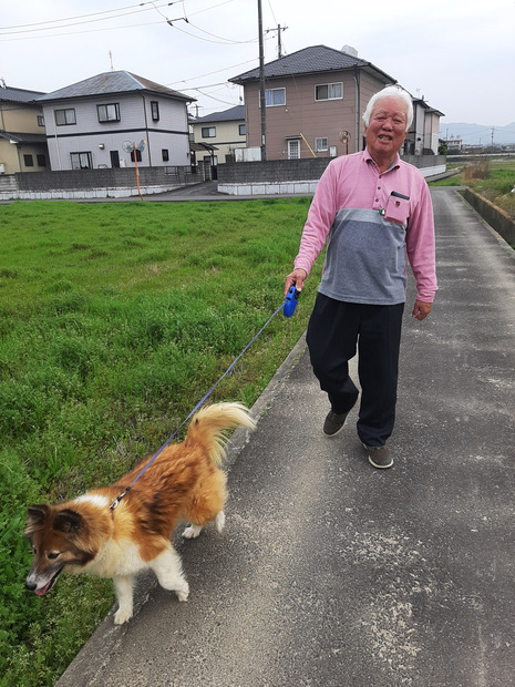 （C）ABCテレビ