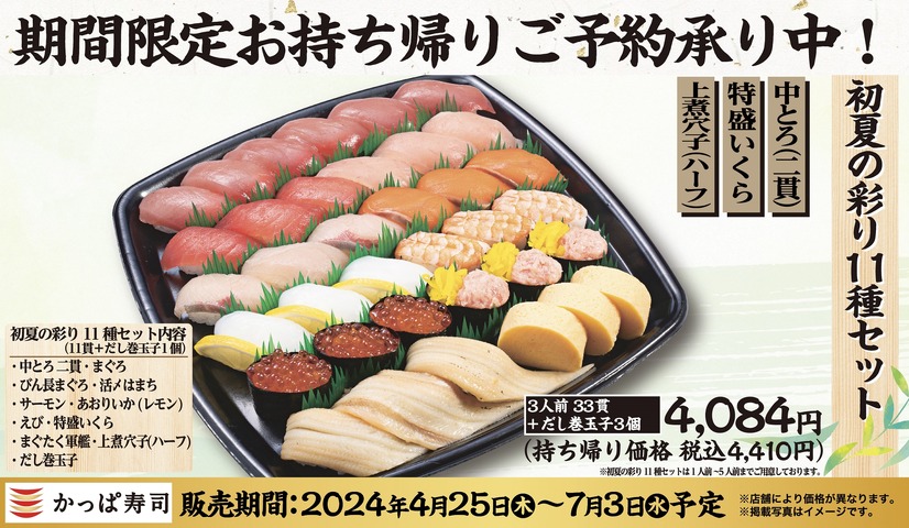 初夏の彩り11種セット