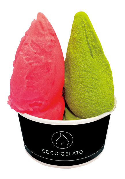 COCO GELATO「ジェラートダブル」イートイン 770円から（1カップ）