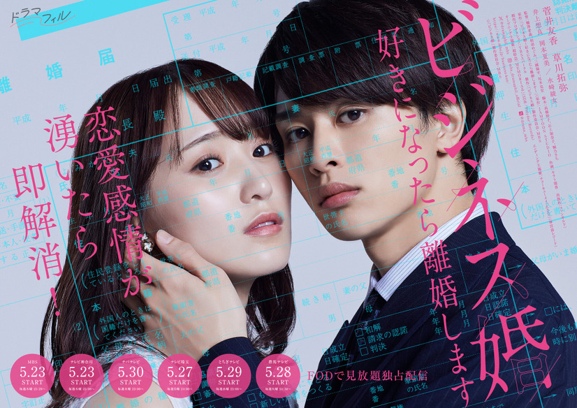 『ビジネス婚―好きになったら離婚します―』キービジュアル（C)「ビジネス婚」製作委員会・MBS