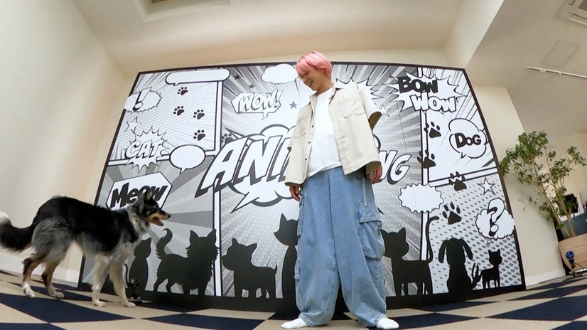 （C）TBS