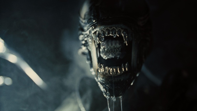 『エイリアン：ロムルス』９月６日（金）全国劇場にて公開(c)2024 20th Century Studios. All Rights Reserved.