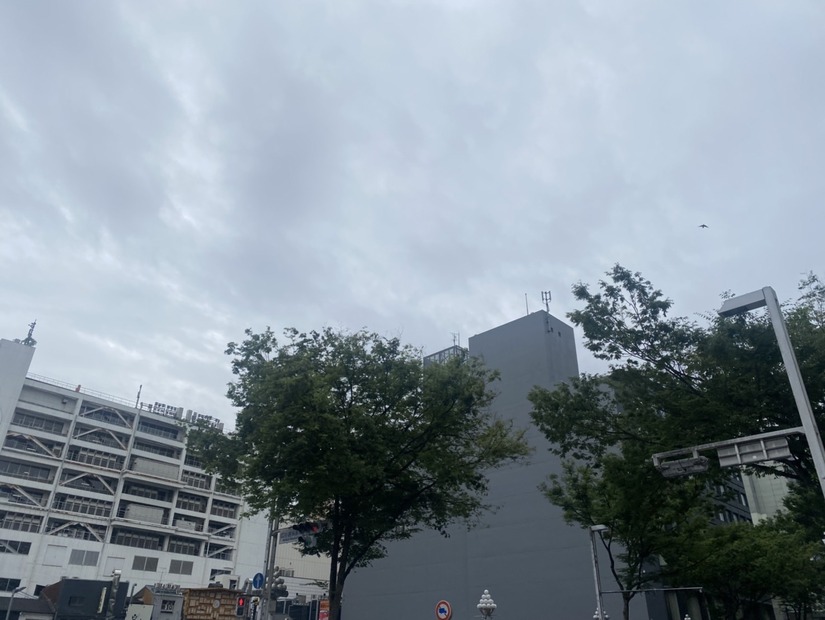 【撮影／山田】