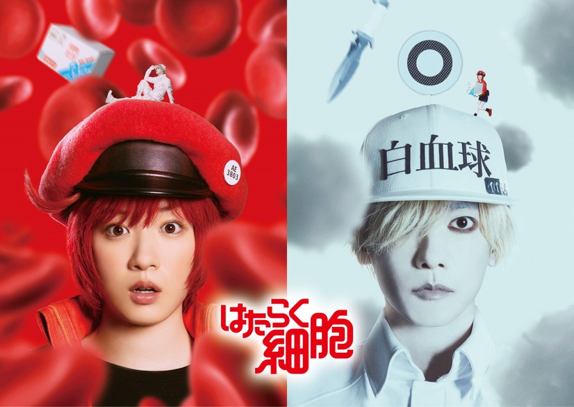 (C)清水茜／講談社 (C)原田重光・初嘉屋一生・清水茜／講談社 (C)2024映画「はたらく細胞」製作委員会