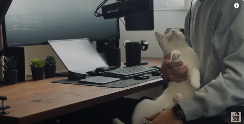 ニャンとスマートな空間！猫と暮らすクリエイターの片付けがラクになるデスク設計術