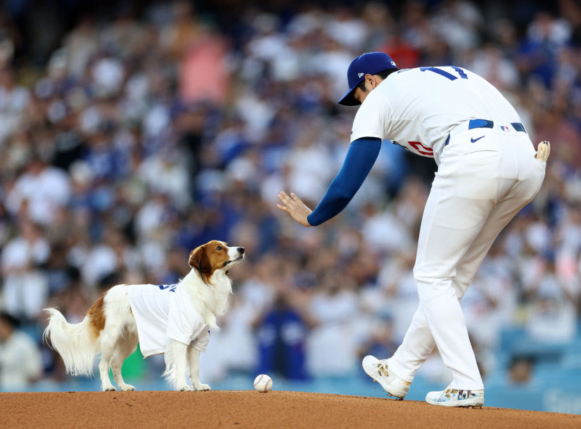 愛犬・デコピンに待てをする大谷翔平（Photo by Harry How/Getty Images）