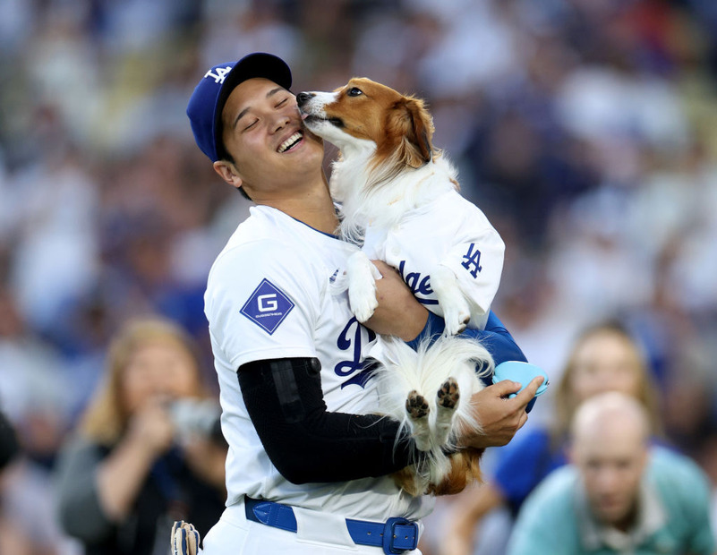 大谷翔平と愛犬・デコピン（Photo by Harry How/Getty Images）