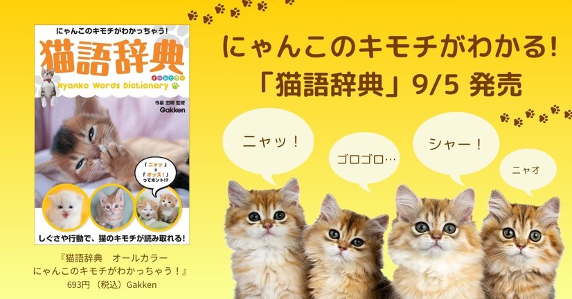 猫語辞典　オールカラー　にゃんこのキモチがわかっちゃう！