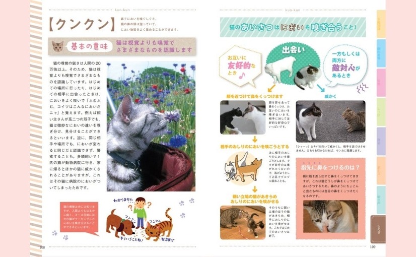 猫語辞典　オールカラー　にゃんこのキモチがわかっちゃう！