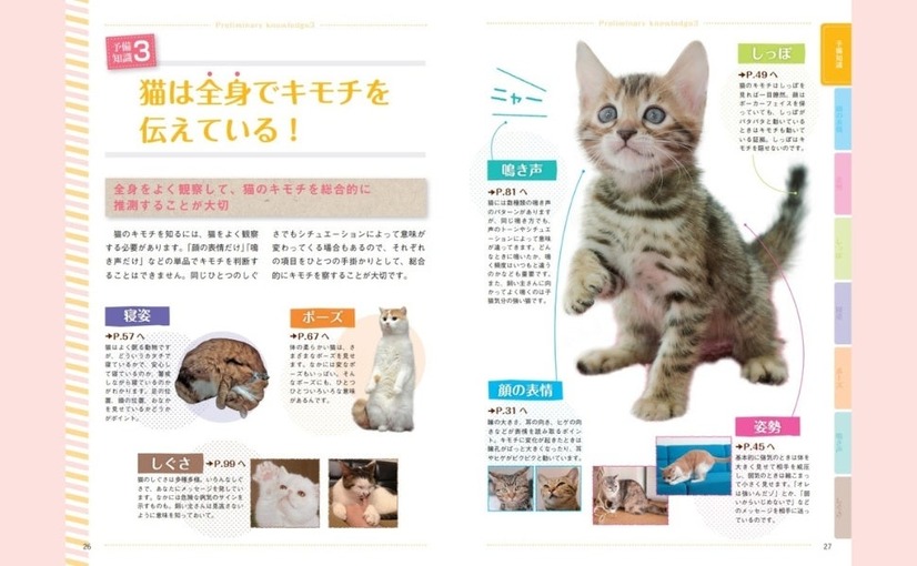 猫語辞典　オールカラー　にゃんこのキモチがわかっちゃう！
