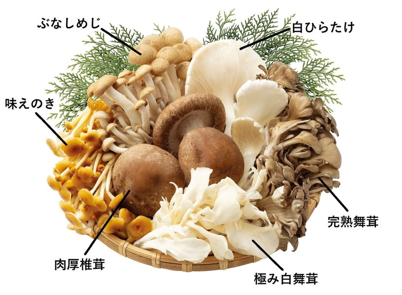 鴨しゃぶと一緒に味わう旬のきのこ