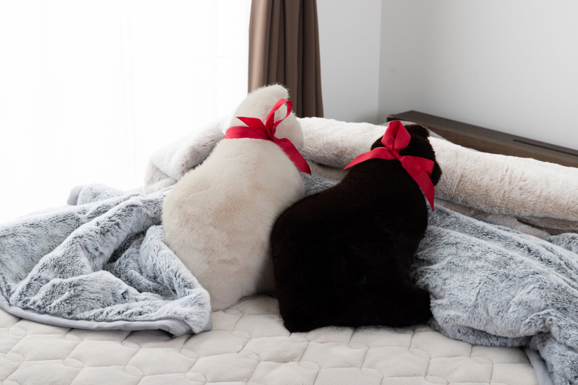 【プライム感謝祭】まさに猫！なモフモフ感を再現！「リアル猫まくら(Neko Cushion)」が20％オフ