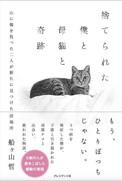 捨てられた僕と母猫と奇跡