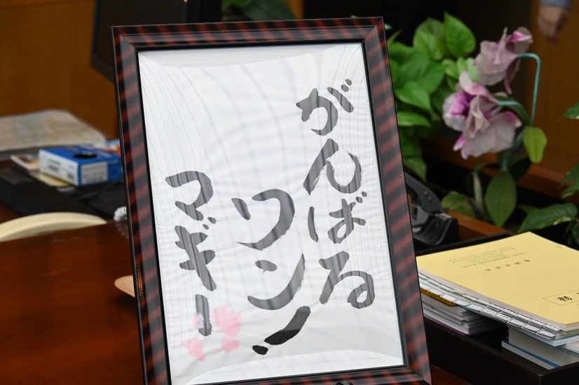 マギー「がんばるワン！」（写真は亀岡市役所の公式Facebookから）※亀岡市役所に掲載許諾をもらってます