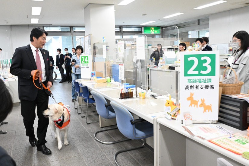 庁舎内を巡視するマギーちゃん（写真は亀岡市役所の公式Facebookから）※亀岡市役所に掲載許諾をもらってます
