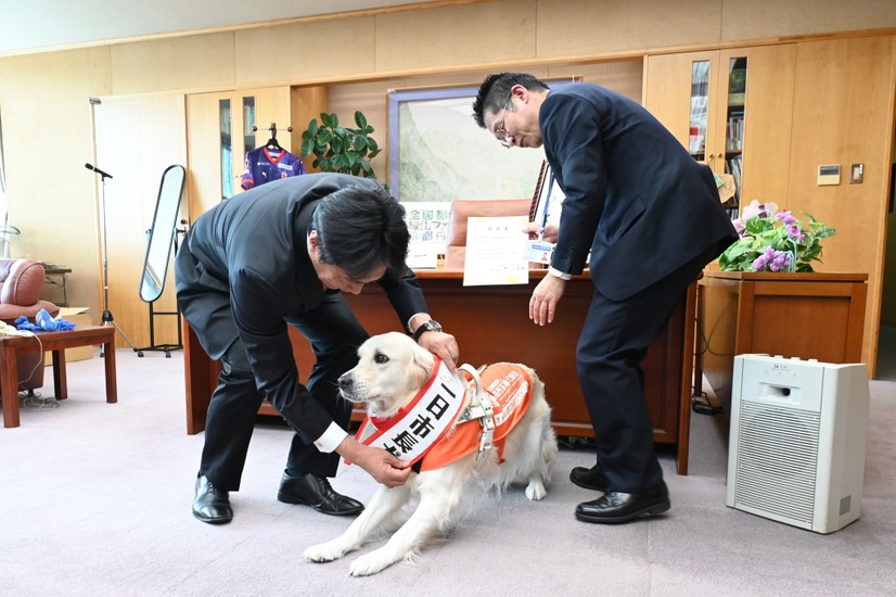 市長からタスキをかけてもらったマギーちゃん（写真は亀岡市役所の公式Facebookから）※亀岡市役所に掲載許諾をもらってます